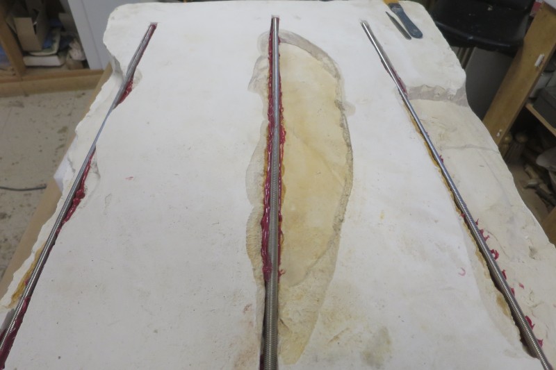Atelier Giordani - Conservation - Restauration
Edifice – Mobilier - Sculpture – Objets d’art – Moulage –
Pierre, bois métal, polychromie et dorure - Conservation restauration de la Chapelle mortuaire de l'Eglise Sainte Cécile - Maçonnerie et plâtre
décors peint
Dorure - ENDUITS MURAUX PEINTS: 
Consolidation des enduits muraux
Dévernissage et nettoyage des peintures murales 
Refixage des écailles pulvérulentes de polychromie 
Comblement des fissurations et manques au niveau des enduits muraux
Réintégration colorée

STATUE SAINT EVEQUE: 
Dépoussiérage et traitement insecticide
Consolidation du bois et des assemblages 
Nettoyage de la crasse indurée en surface 
Réintégration des éléments mobiles
Comblement et masticage des manques et lacunes 
Réintégration colorée et de dorure

MAUSOLE ET AUTEL: 
Consolidation chimique de la pierre fragilisée
Nettoyage des surfaces
Assemblage et collage des éléments mobiles et déchus 
Moulage des bustes et putti manquants
Comblements des manques, bouchages et ragréage de finitions
Retouches colorées et de dorures, lustrage
Repose des bas-reliefs et table d'autel traités en atelier