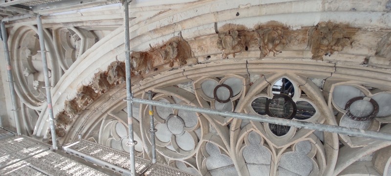 Atelier Giordani - Conservation - Restauration
Edifice – Mobilier - Sculpture – Objets d’art – Moulage –
Pierre, bois métal, polychromie et dorure - Portail des Marmousets de l'Abbatiale Saint Ouen - Pierre calcaire - - Nettoyage par micro gommage
- Nettoyage par compresse d'ammonium
- Traitement fongicide et biocide
- consolidation chimique de la pierre 
- Ragréage par mortier Altar et modelage
- Patine 
- Moulage et tirage d'une statue en l'état